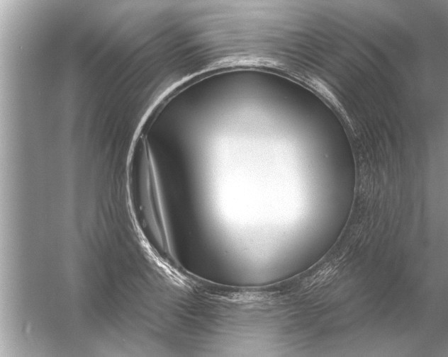 X0000056011132200509162337