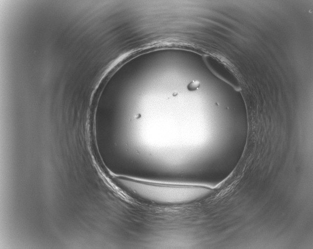 X0000056011134200509162337