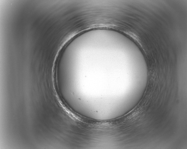 X0000056011135200509162337