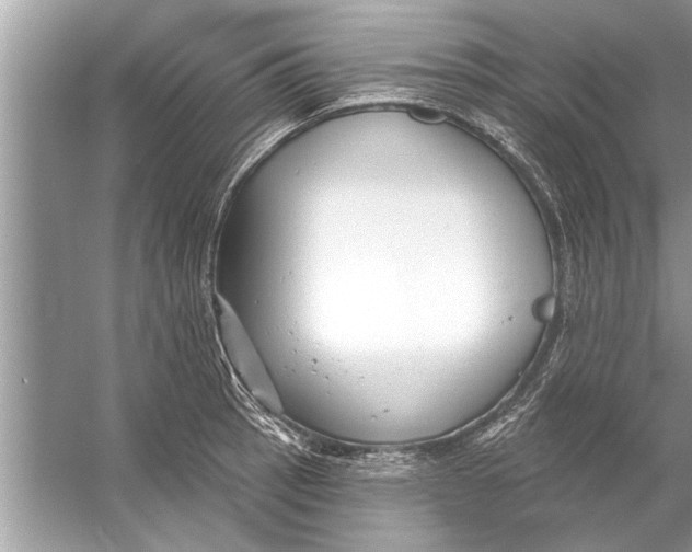 X0000056011137200509162337