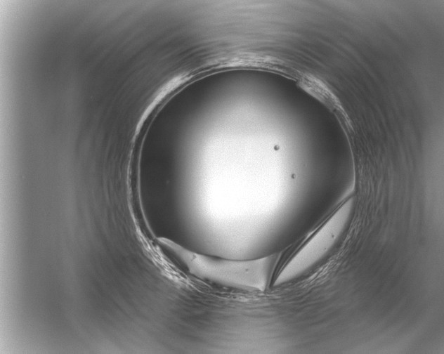 X0000056011138200509162337