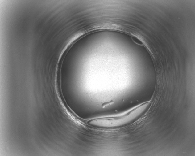 X0000056011139200509162337