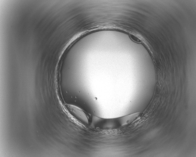 X0000056011142200509162337