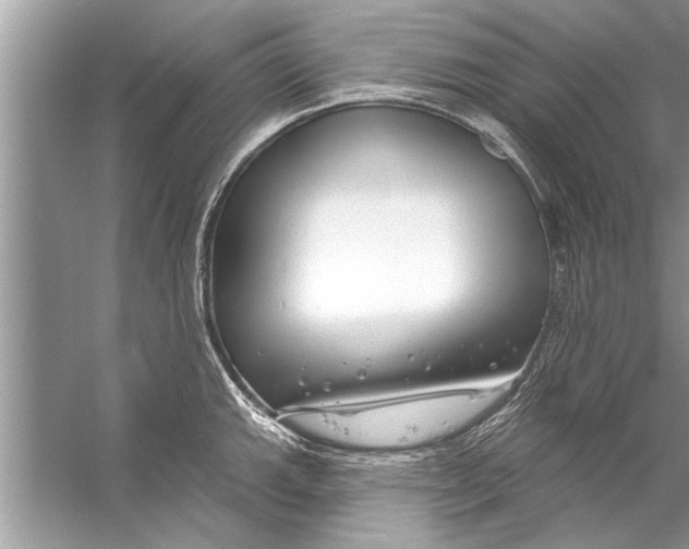 X0000056011143200509162337