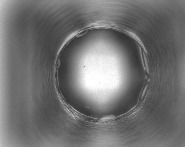 X0000056011146200509162337