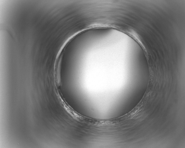 X0000056011148200509162337