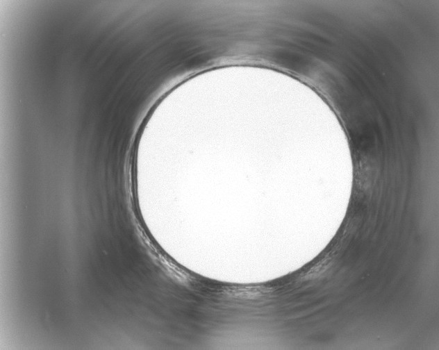 X0000056011150200509162337