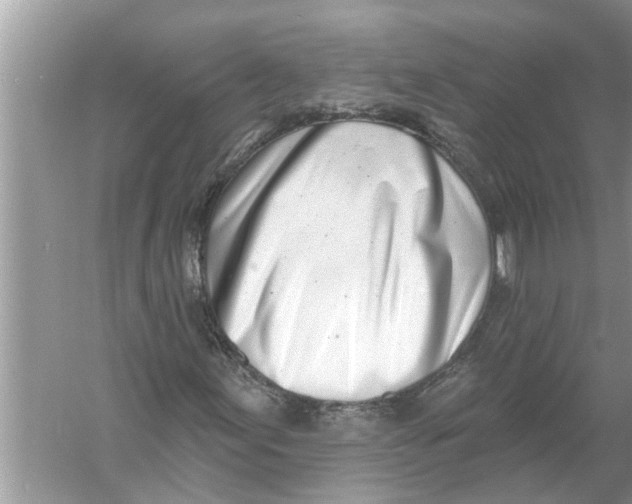 X0000056011155200509162336