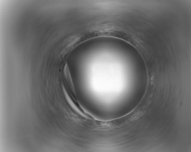 X0000056011156200509162336