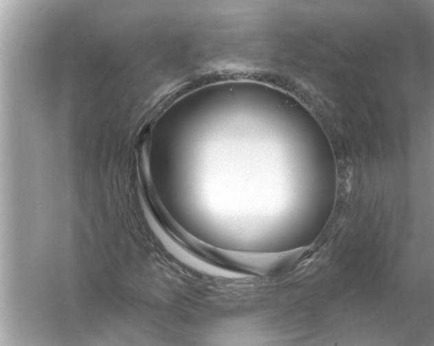 X0000056011157200509162336