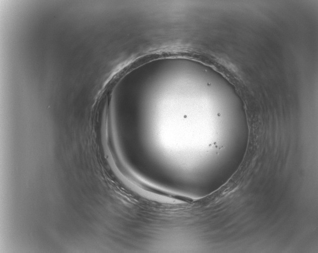 X0000056011160200509162336