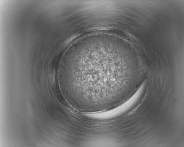 X0000056011161200509162336