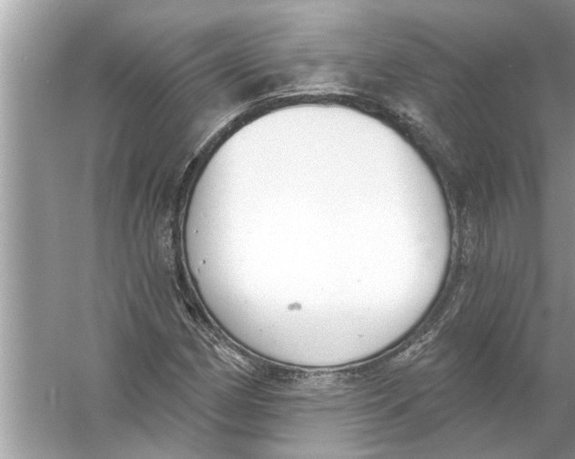 X0000056011162200509162336