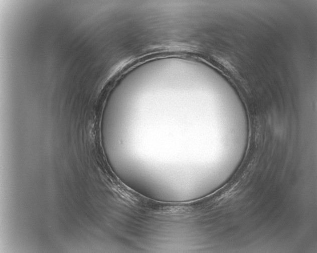 X0000056011163200509162336