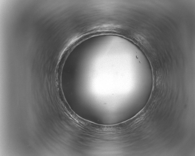 X0000056011164200509162336