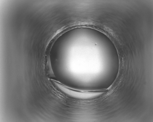 X0000056011165200509162336