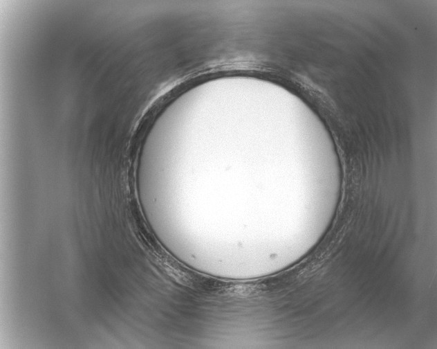 X0000056011166200509162336