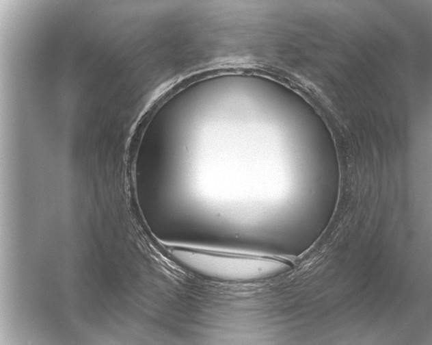 X0000056011168200509162336