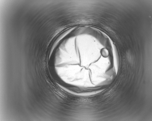 X0000056011170200509162336