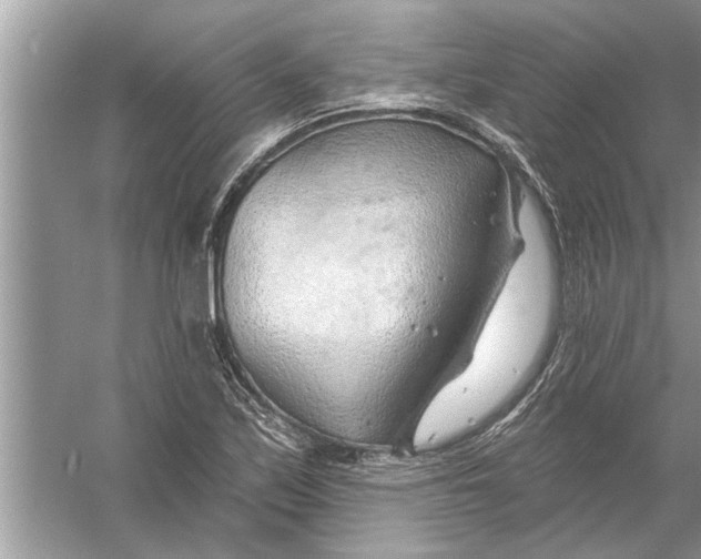 X0000056011171200509162336