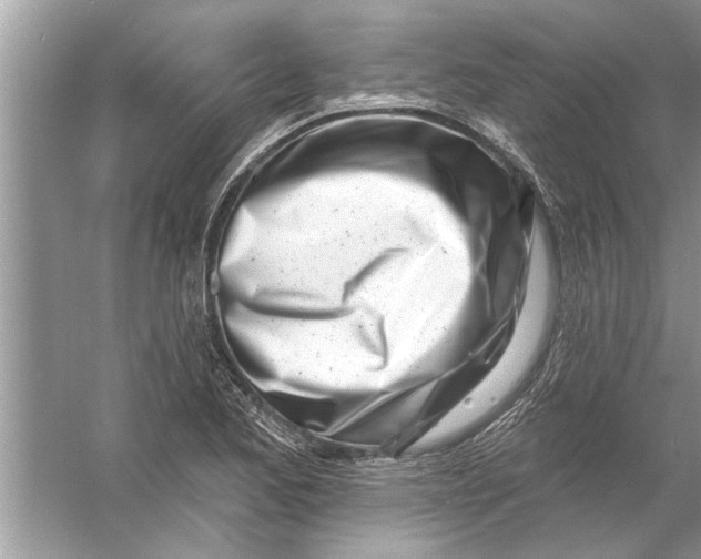 X0000056011173200509162336