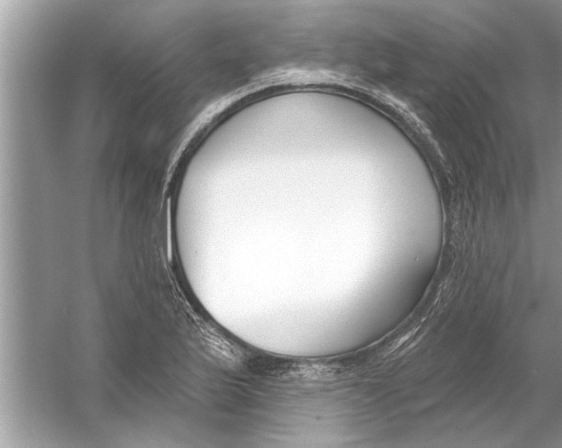 X0000056011175200509162336