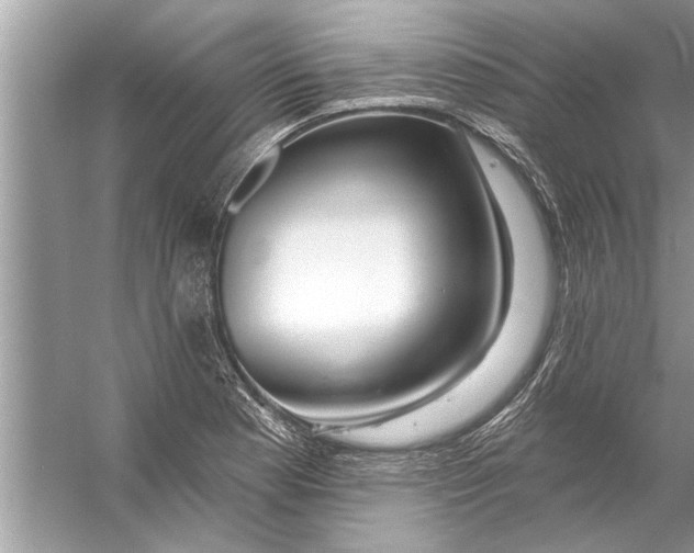 X0000056011177200509162336