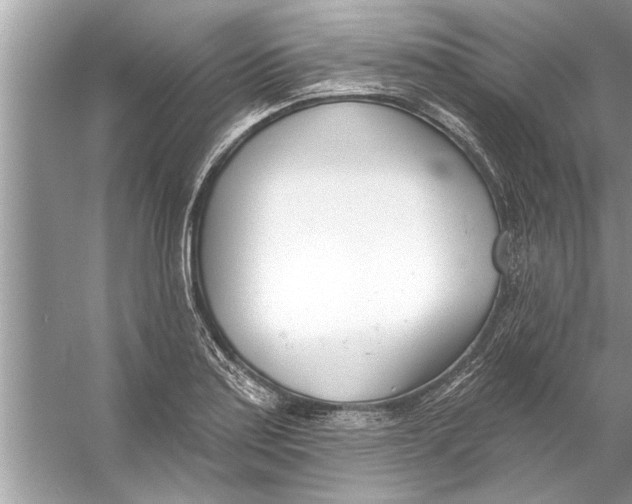 X0000056011179200509162336