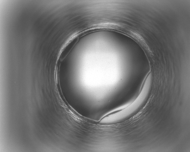 X0000056011180200509162336