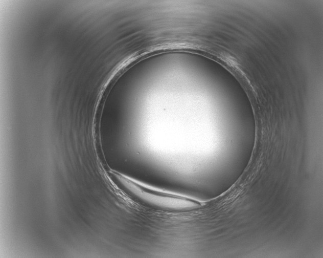 X0000056011181200509162336