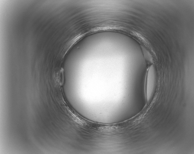 X0000056011185200509162336