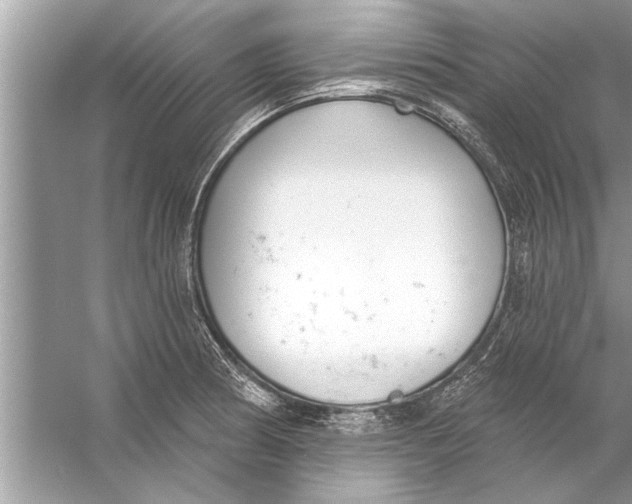 X0000056011186200509162336