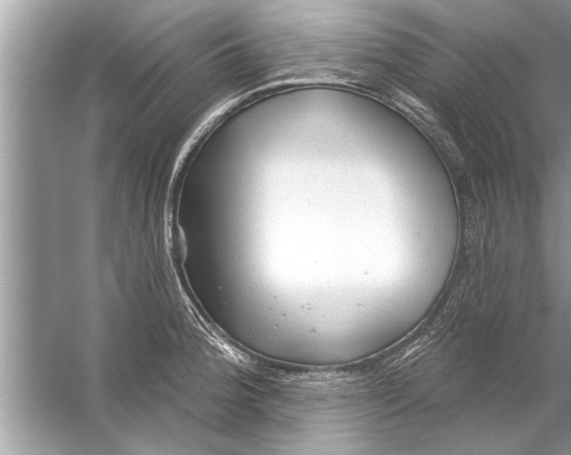 X0000056011188200509162336