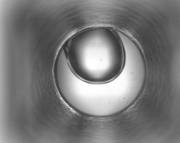 X0000056011189200509162336