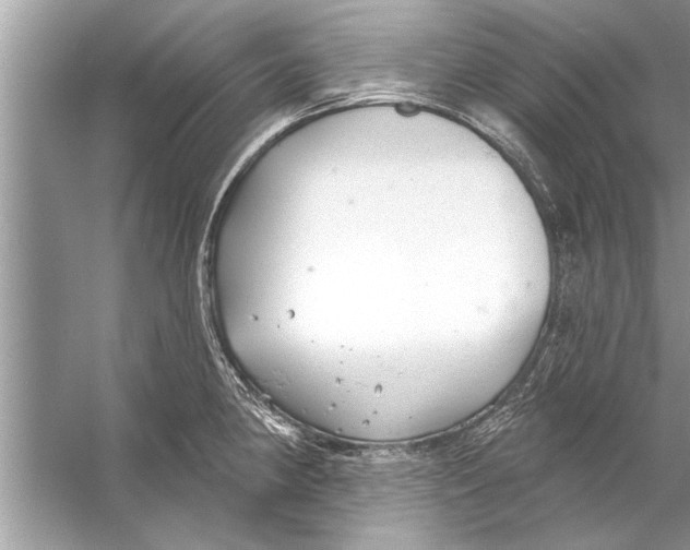 X0000056011190200509162336