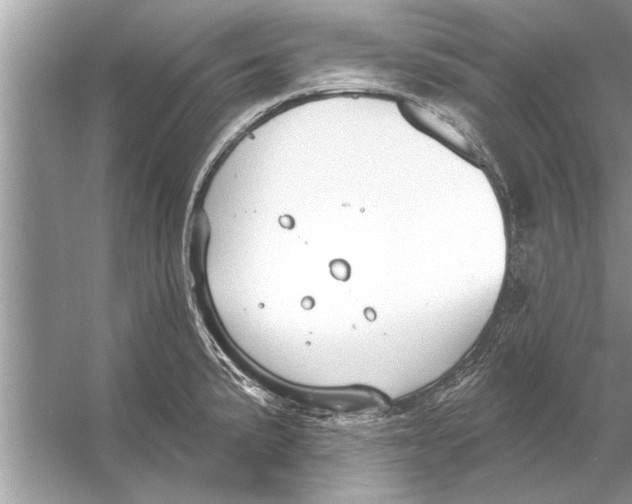 X0000056011191200509162336