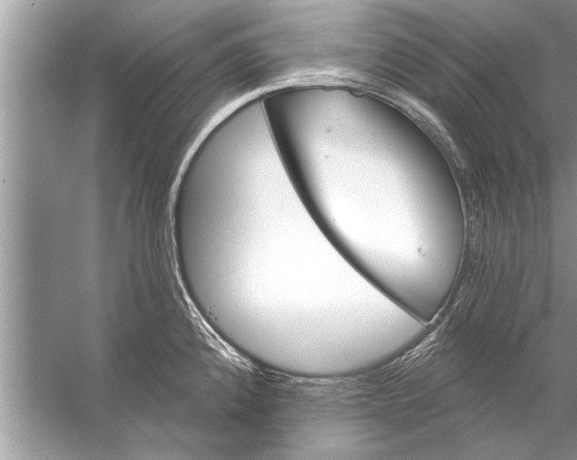 X0000056011192200509162336