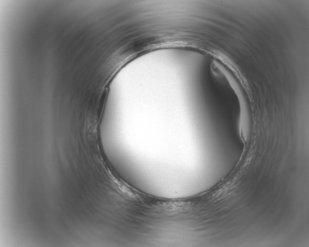 X0000056011193200509162336