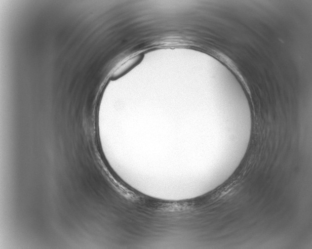 X0000056011195200509162336