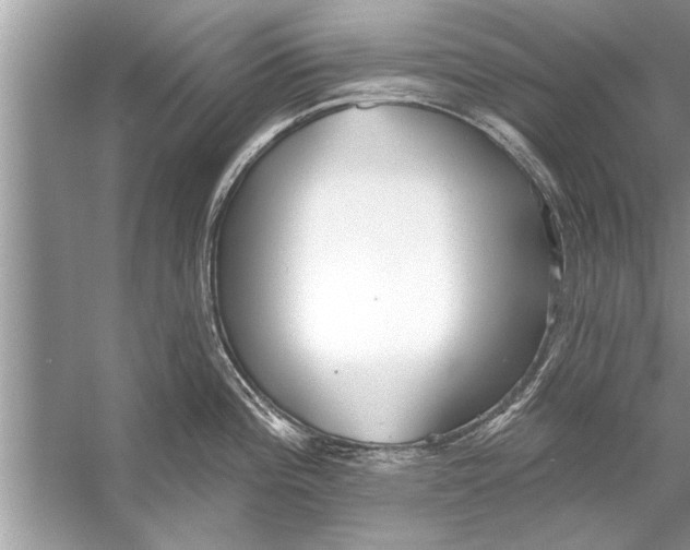 X0000056011196200509162336