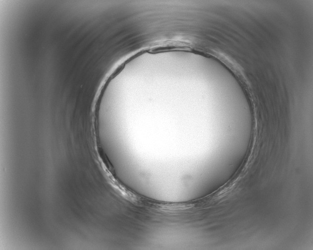 X0000056011200200509162336