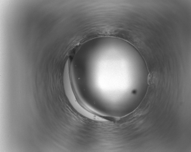 X0000056011202200509162335