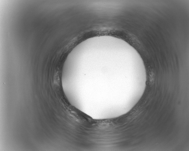 X0000056011204200509162335