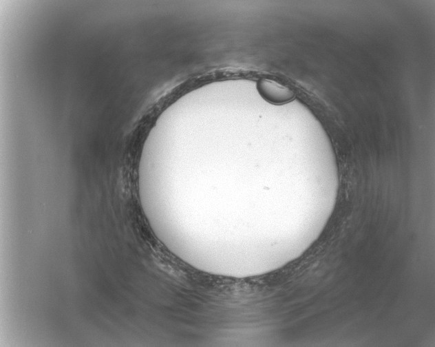 X0000056011207200509162335