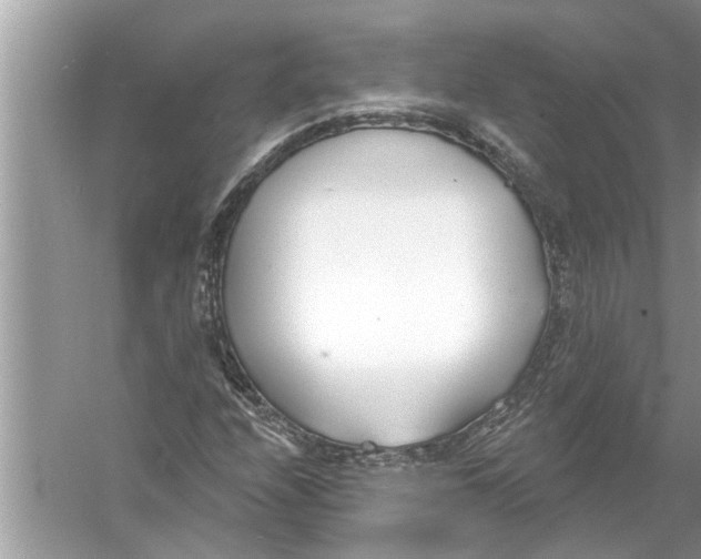 X0000056011208200509162335