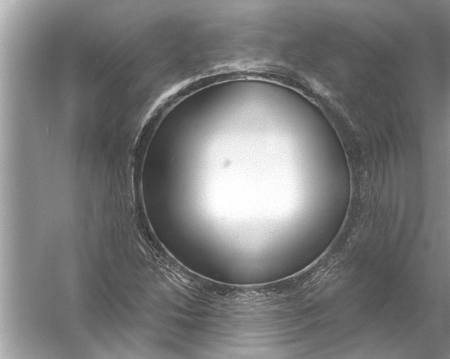 X0000056011214200509162335