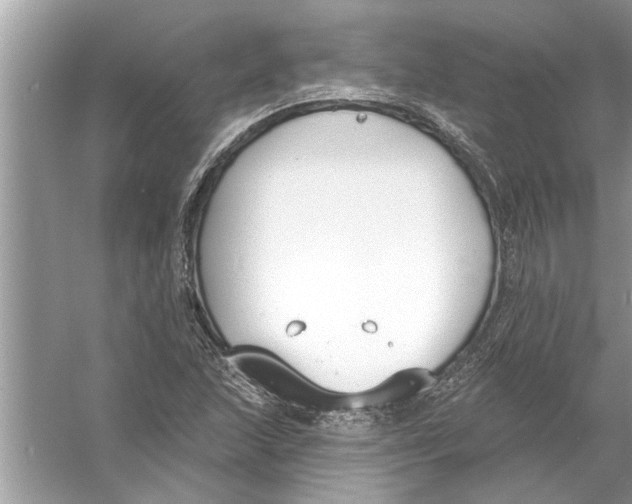 X0000056011215200509162335