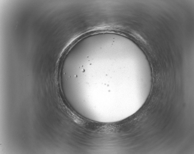 X0000056011216200509162335