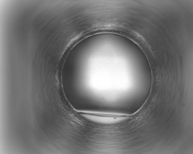 X0000056011218200509162335