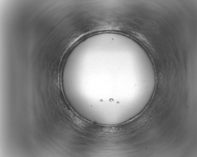 X0000056011220200509162335